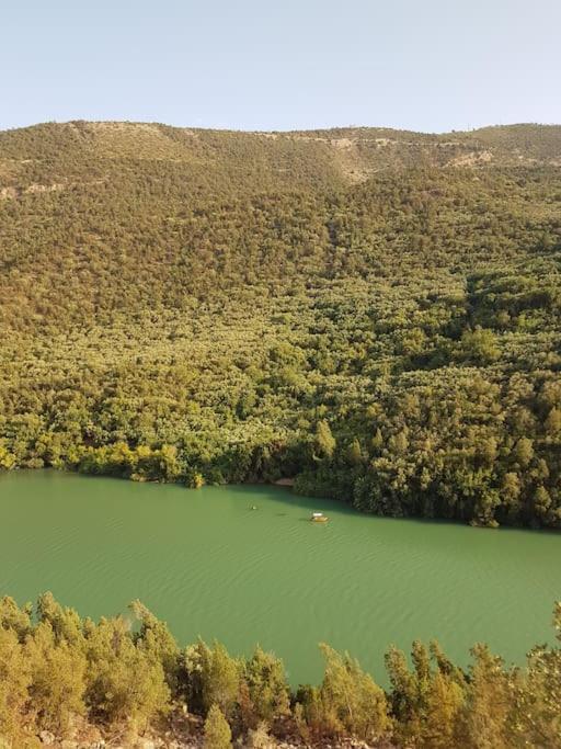 Le Figuier Du Lac Bin Elouidane المظهر الخارجي الصورة